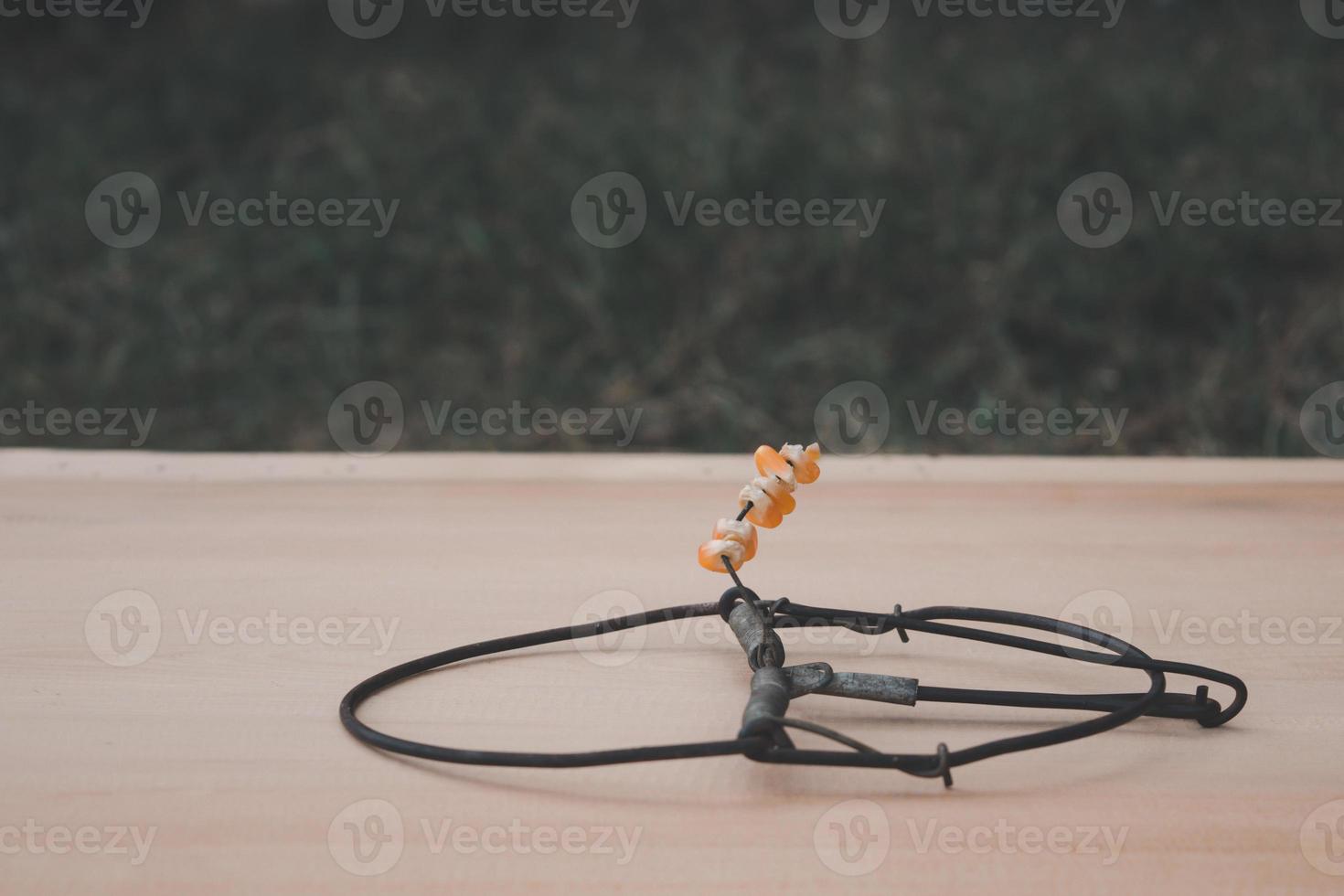 Bird eye view of trap on the wooden background, rat and animal trap photo