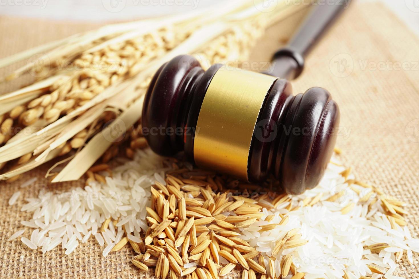 Juez martillo martillo con arroz de buen grano de granja agrícola. concepto de tribunal de derecho y justicia. foto