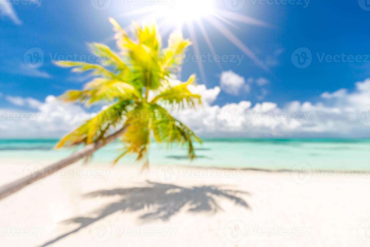 hermosa playa borrosa, palmera verde, clima soleado, rayos de sol con vista al mar azul y horizonte. paisaje de playa tropical para banner de turismo de vacaciones de verano, plantilla de sitio web de uso de concepto de bokeh borroso foto