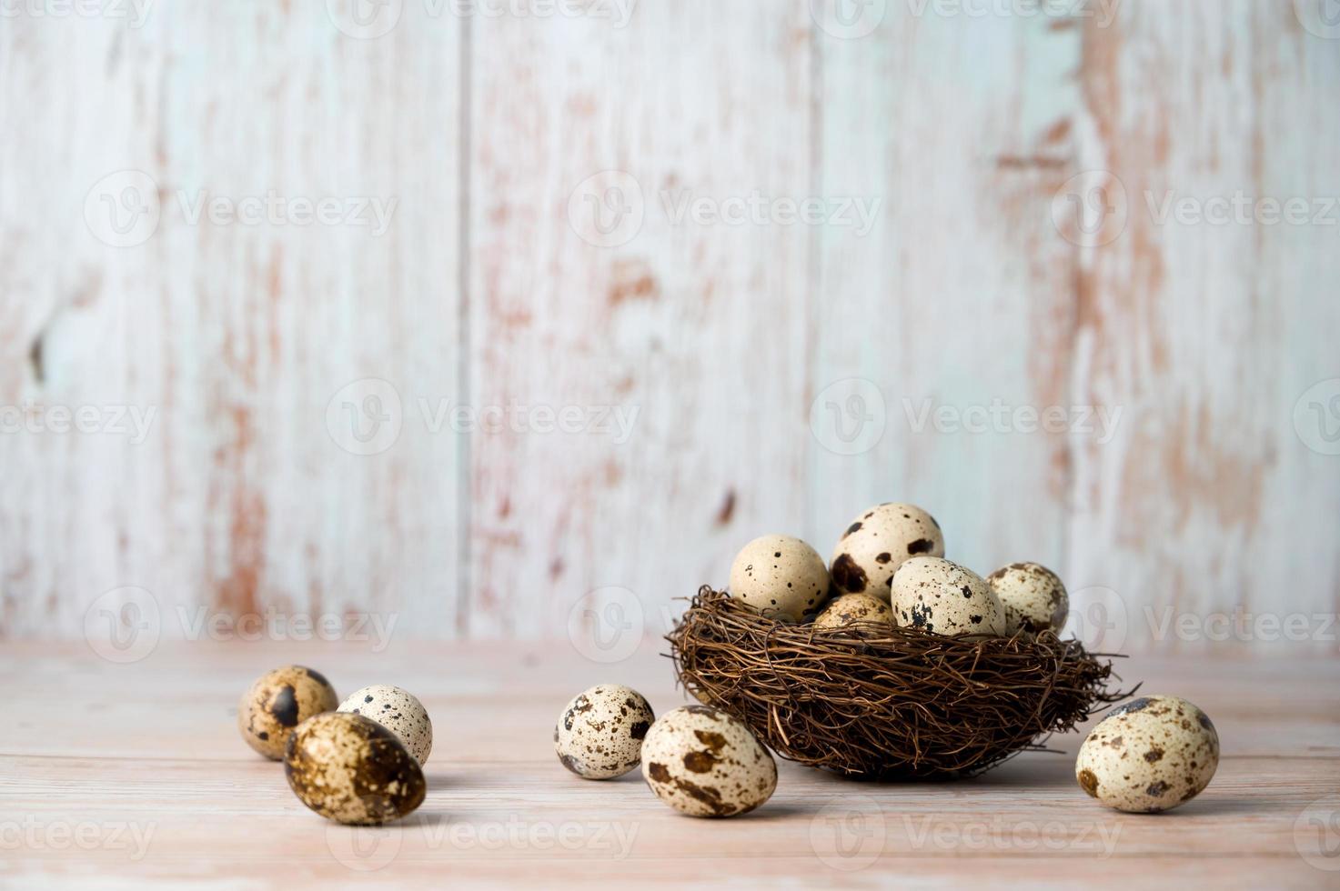 Fresh quail eggs. Rustic style on wood background. Easter banner with place for text photo