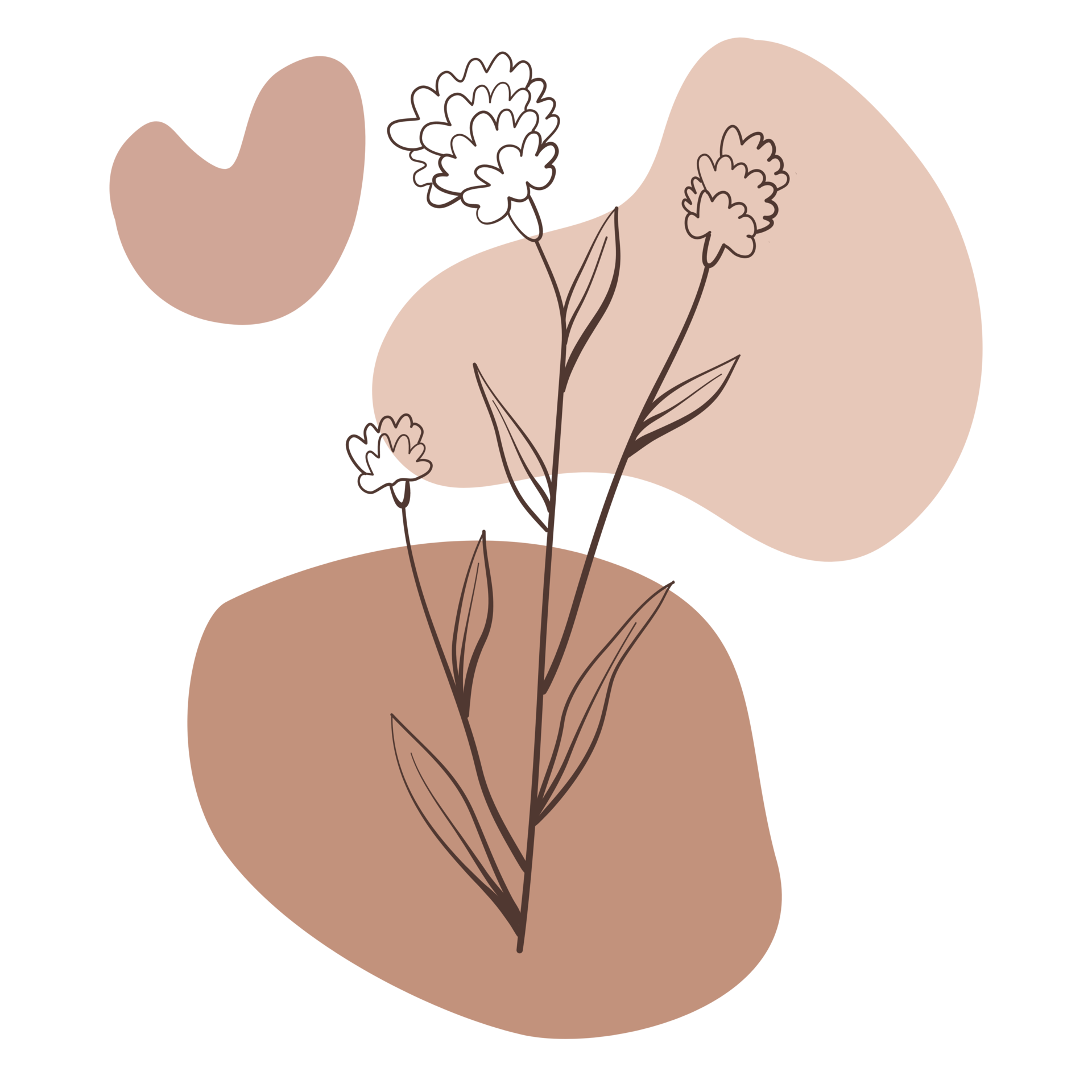 Boho flowers pngs for free download