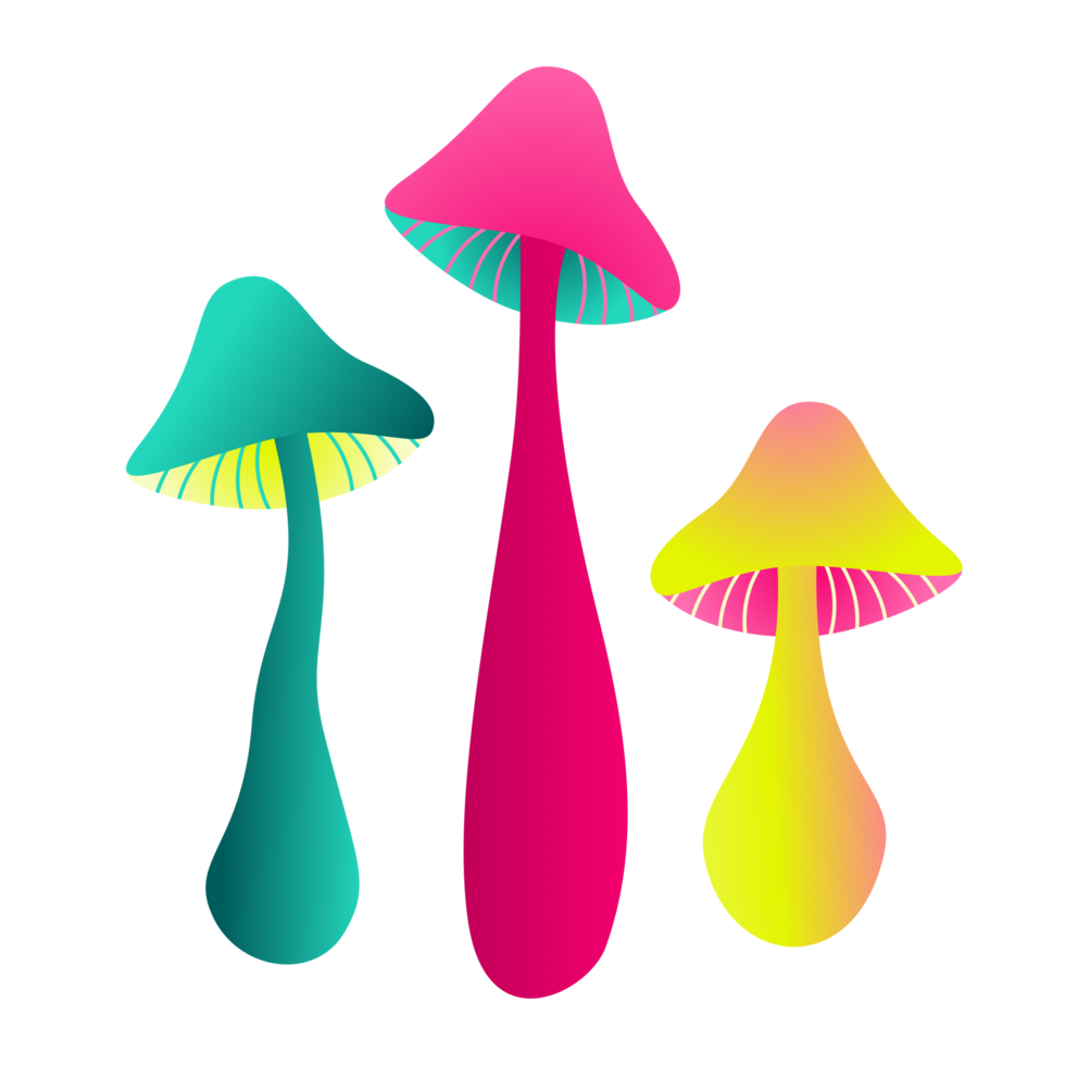 Neon Color Mushrooms Shrooms Psychedelic Drawing png