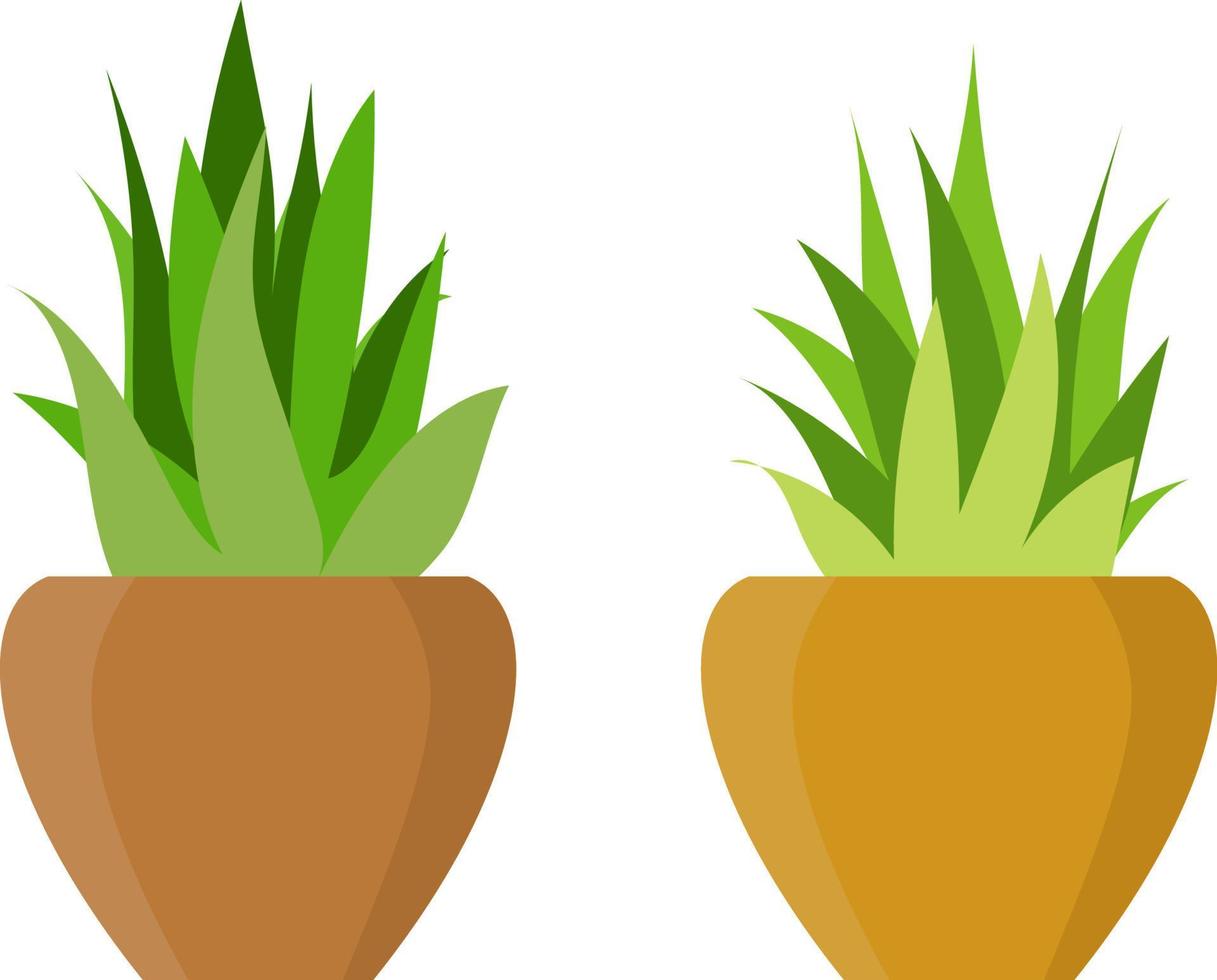 ilustración gráfica vectorial, planta de aloe vera, ilustración plana, ideas de plantas de casa vector