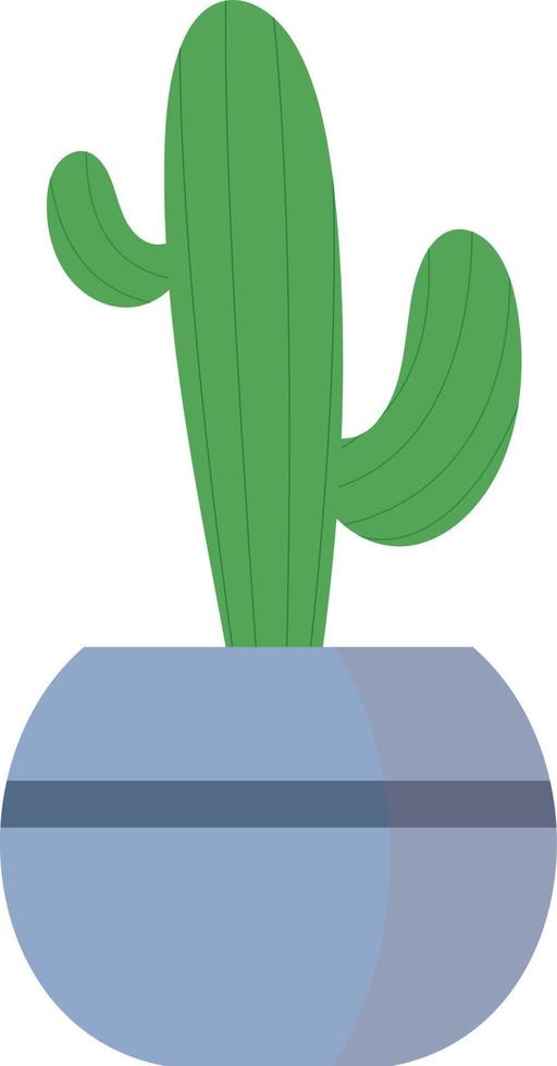 Vector Graphic Illustration, cactus indoor plant, flat cartoon style, simple art