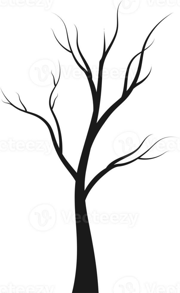 ilustración de silueta de árbol png