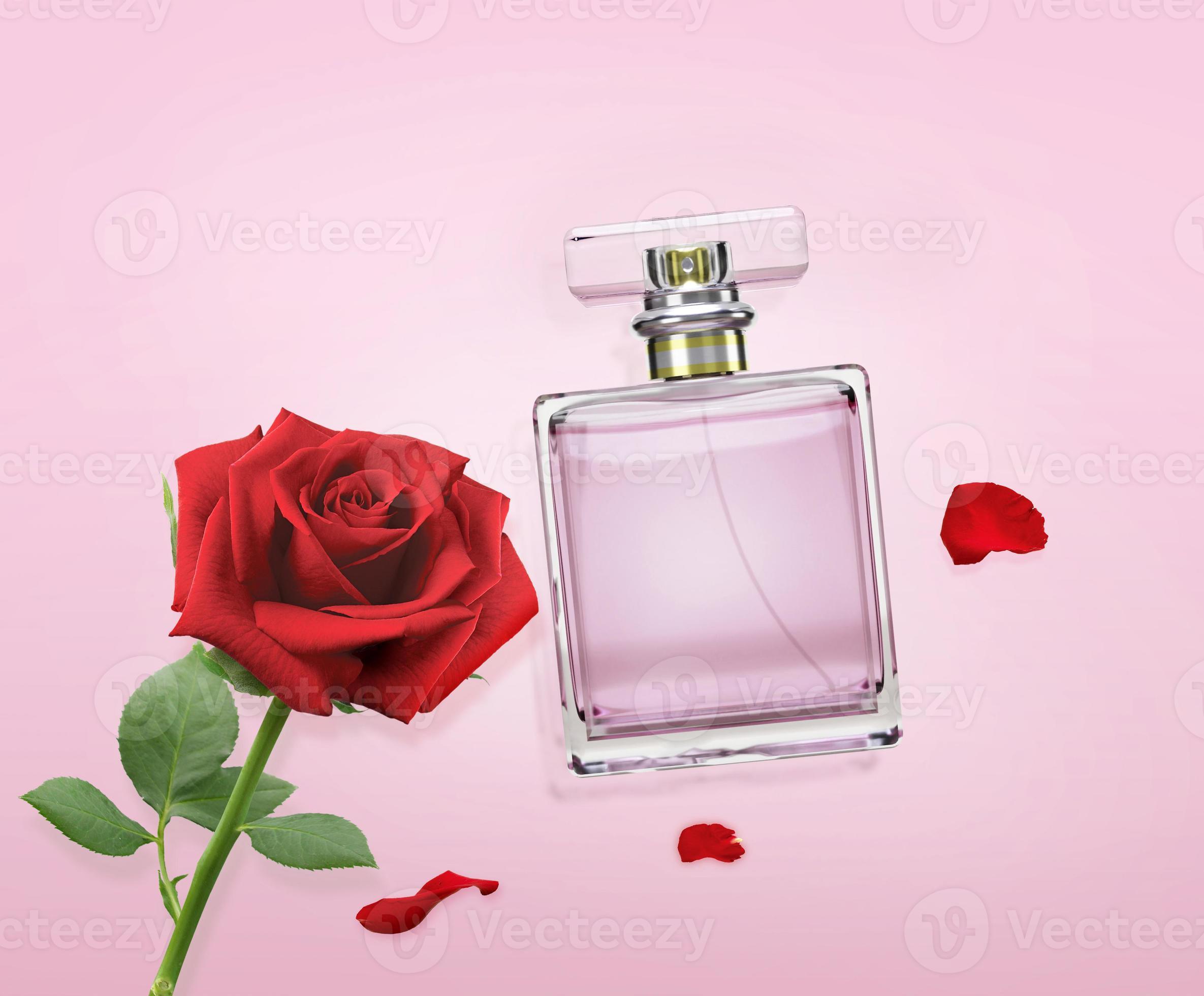 perfume bottle with rose flowers on pink background 15276413 Stock