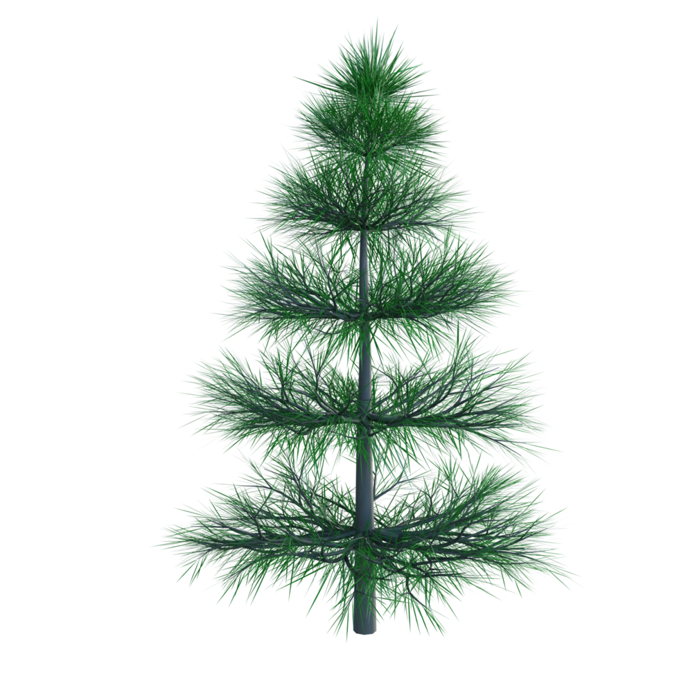 árbol de navidad aislado png