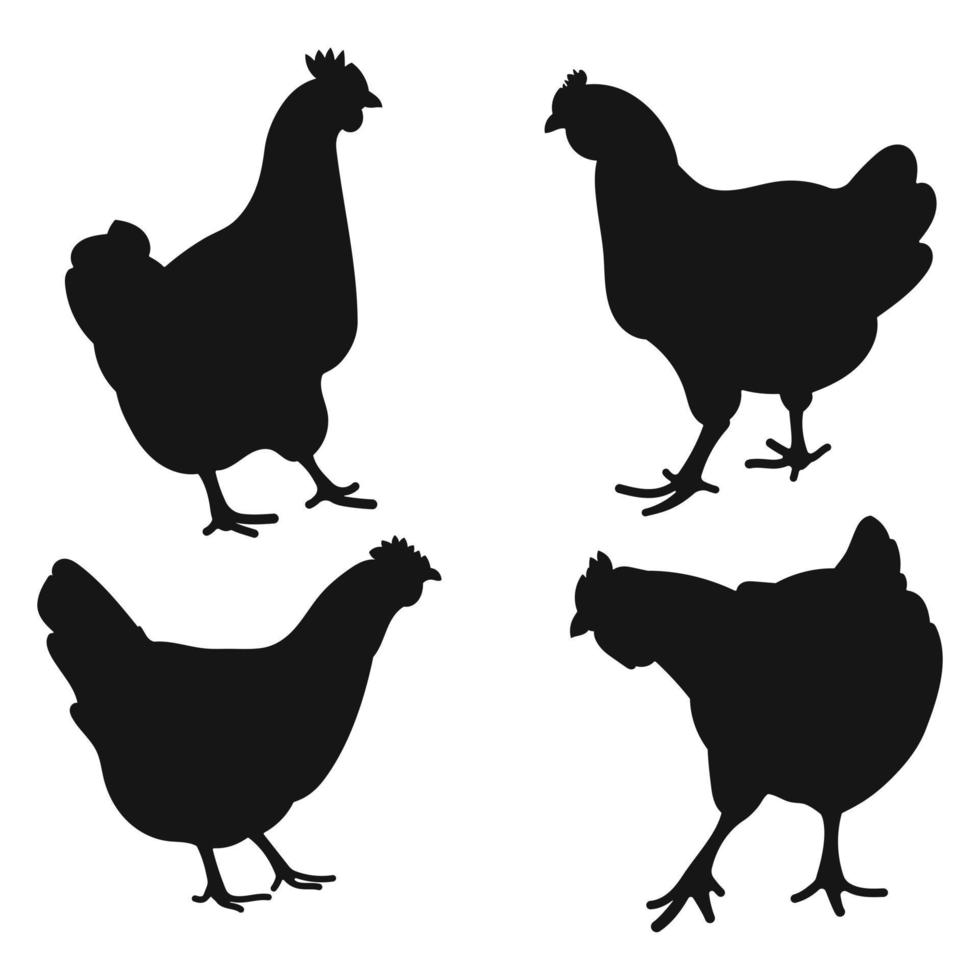 Set cock, cockerel, rooster, chicken, hen, chick, position standing, poultry silhouettes hand drawn, isolated vector
