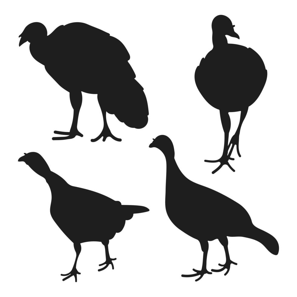 Turkey, turkey cock, gobbler, tom turkey, position standing, set poultry silhouettes hand drawn, isolated vector