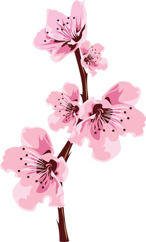 branch with bunch of pink flowers vector