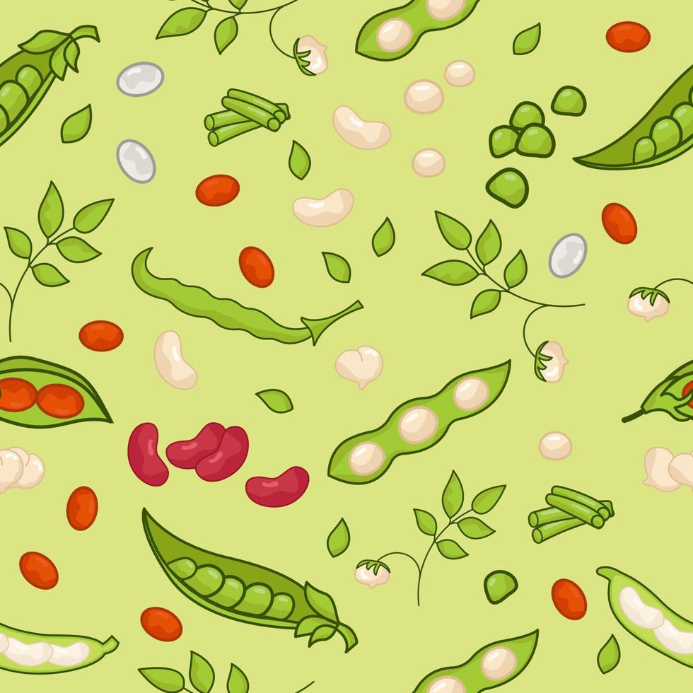 Seamless legume pattern. The world of legumes vector