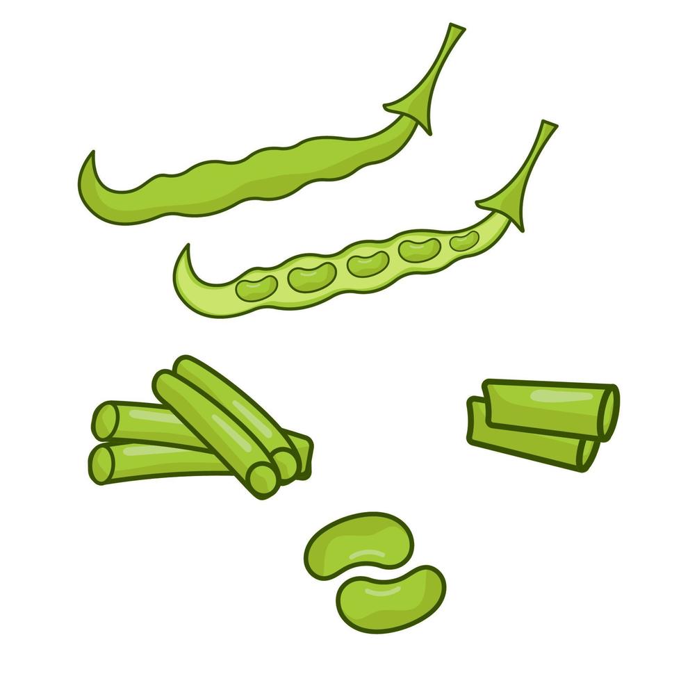 A set of different green beans. The world of legumes. vector