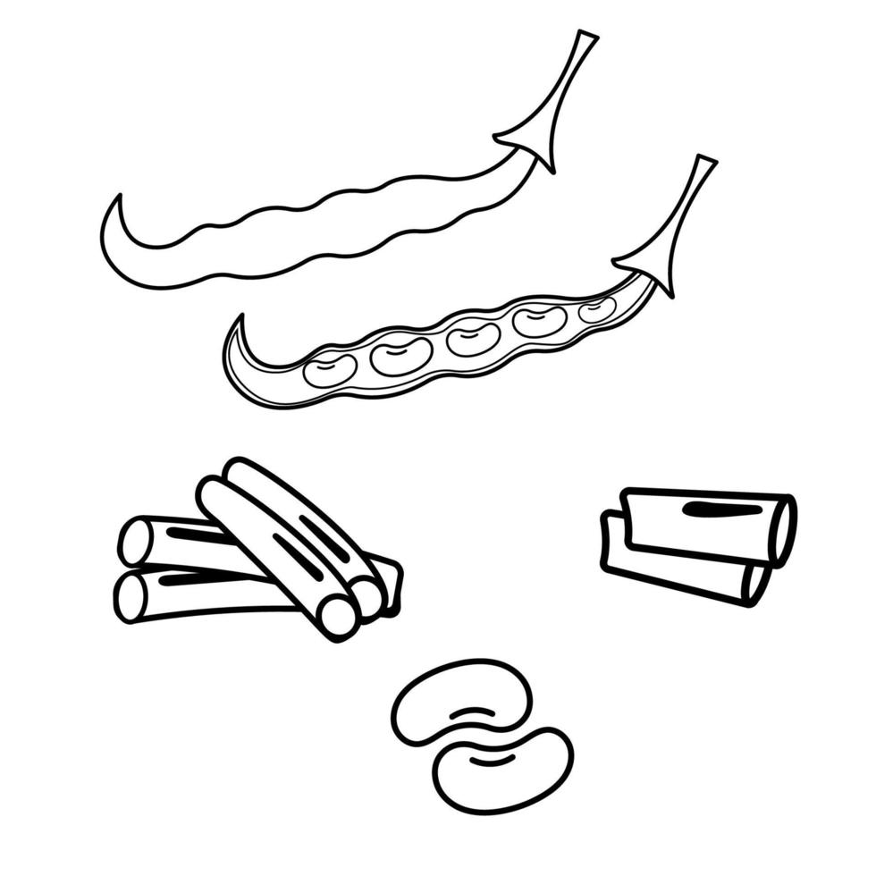 A set of different green beans outline. The world of legumes. vector