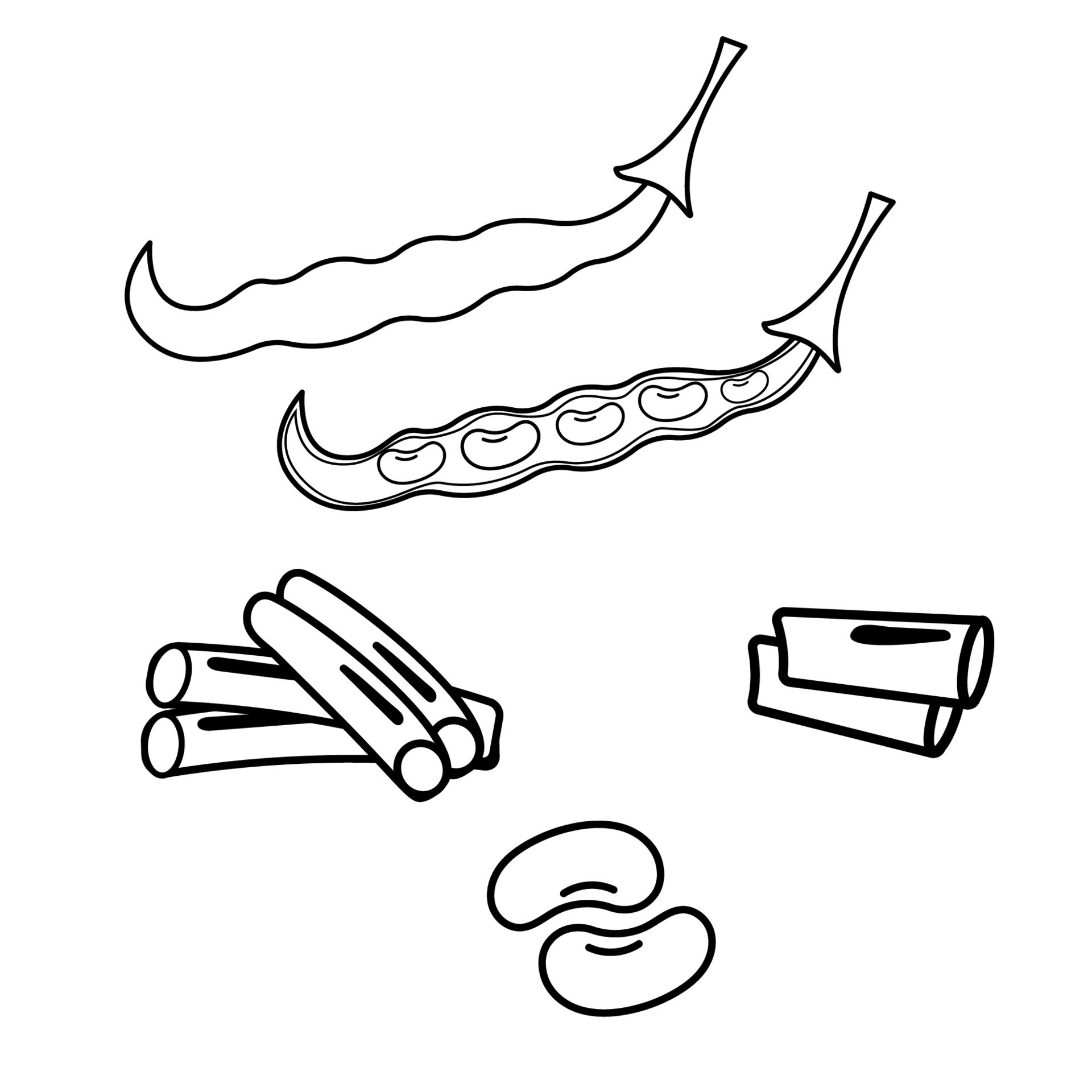 A set of different green beans outline. The world of legumes. 15278191