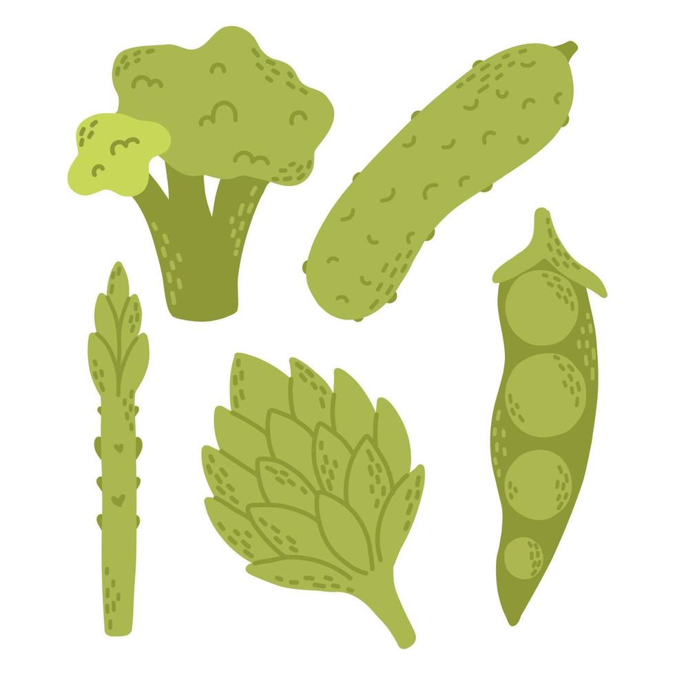 conjunto vectorial de vegetales verdes planos. colección de verduras brócoli, pepino, guisantes, alcachofa, espárragos. estilo dibujado a mano aislado sobre fondo blanco. ilustración vectorial vector