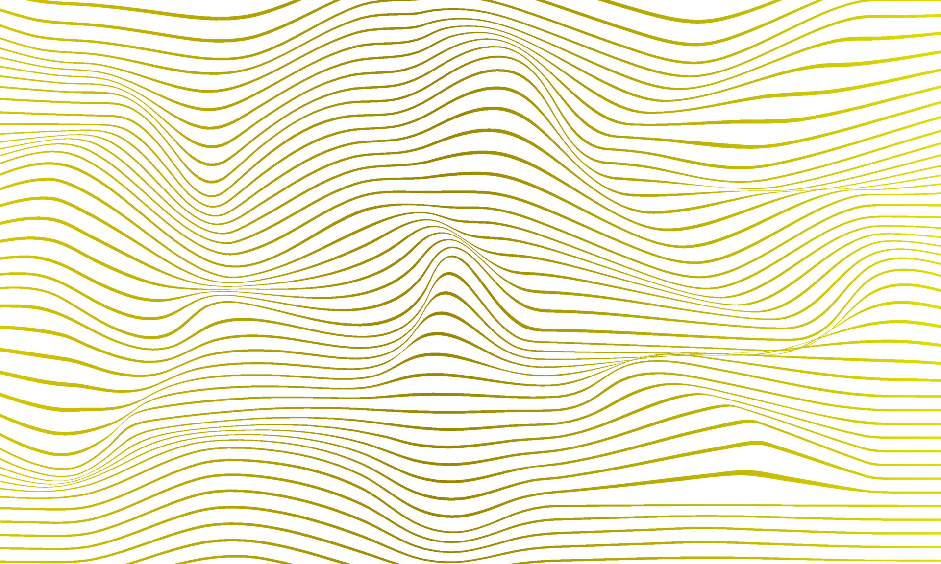Gold line waves on white background, abstract background vector design