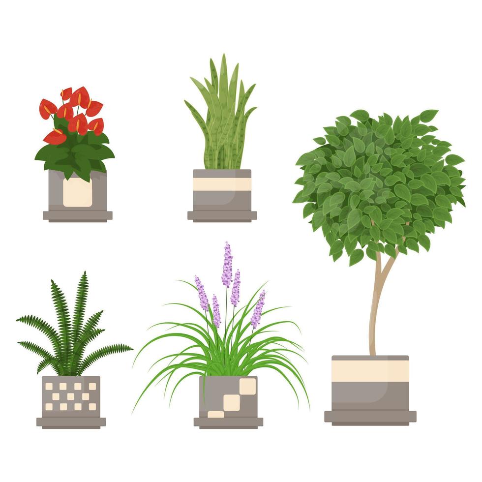 conjunto de plantas de interior en maceta vector