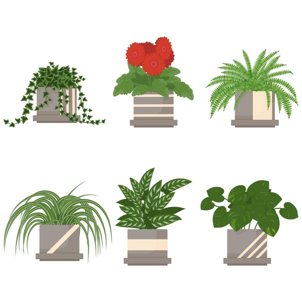 conjunto de plantas de interior en maceta vector