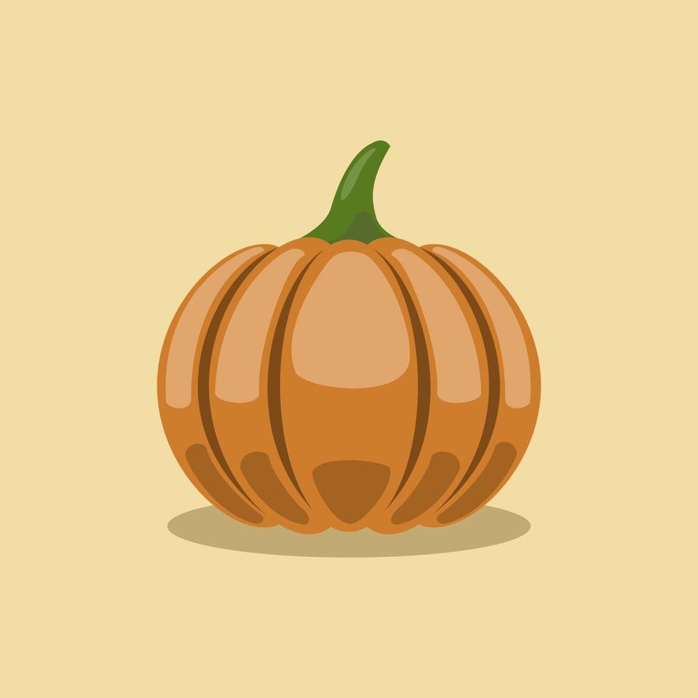 vector illustration of pumpkin fruit flat cartoon style on isolated background