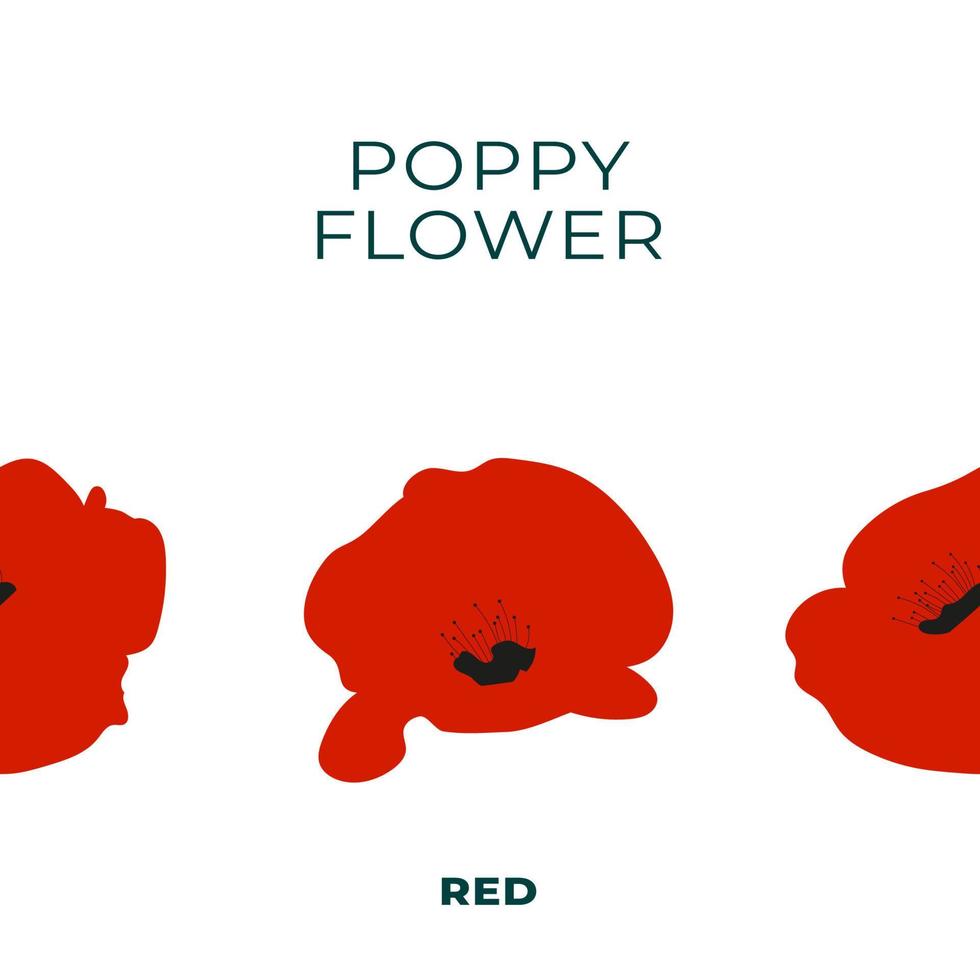 Seamless pattern in the form of a poppy flower. Vector illustration
