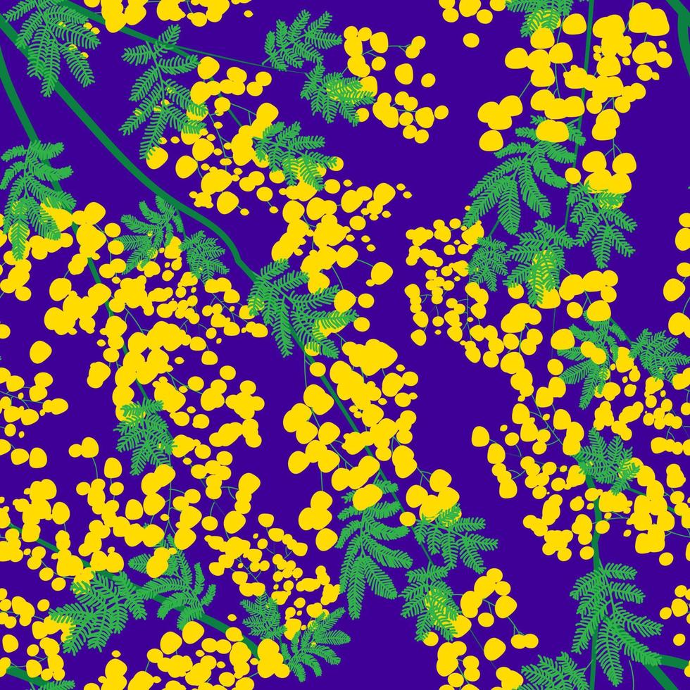 Botanical seamless pattern with yellow mimosa flowers and leaves on a white background. Background with elegant flowering plants. Vector illustration