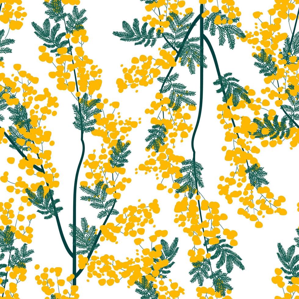 Botanical seamless pattern with yellow mimosa flowers and leaves on a white background. Background with elegant flowering plants. Vector illustration