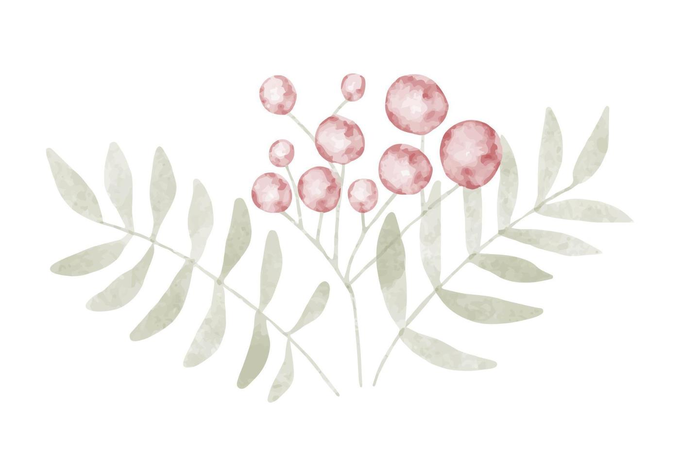 Watercolor trendy plant. Vector illustration for web, app and print. Elegant feminine shape floristic isolated rowanberry plant. Garden, botanical, minimalistic floral element.