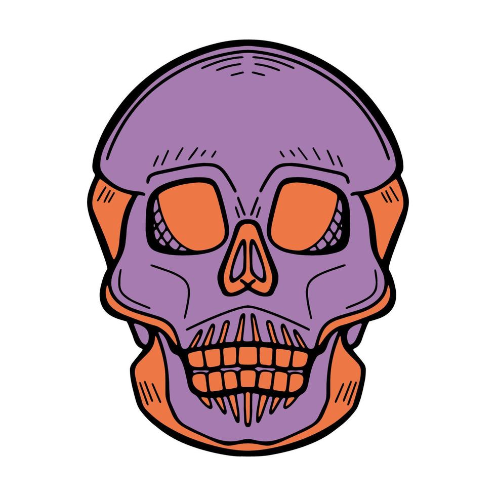 Colorful skull for the day of the dead, vector illustration