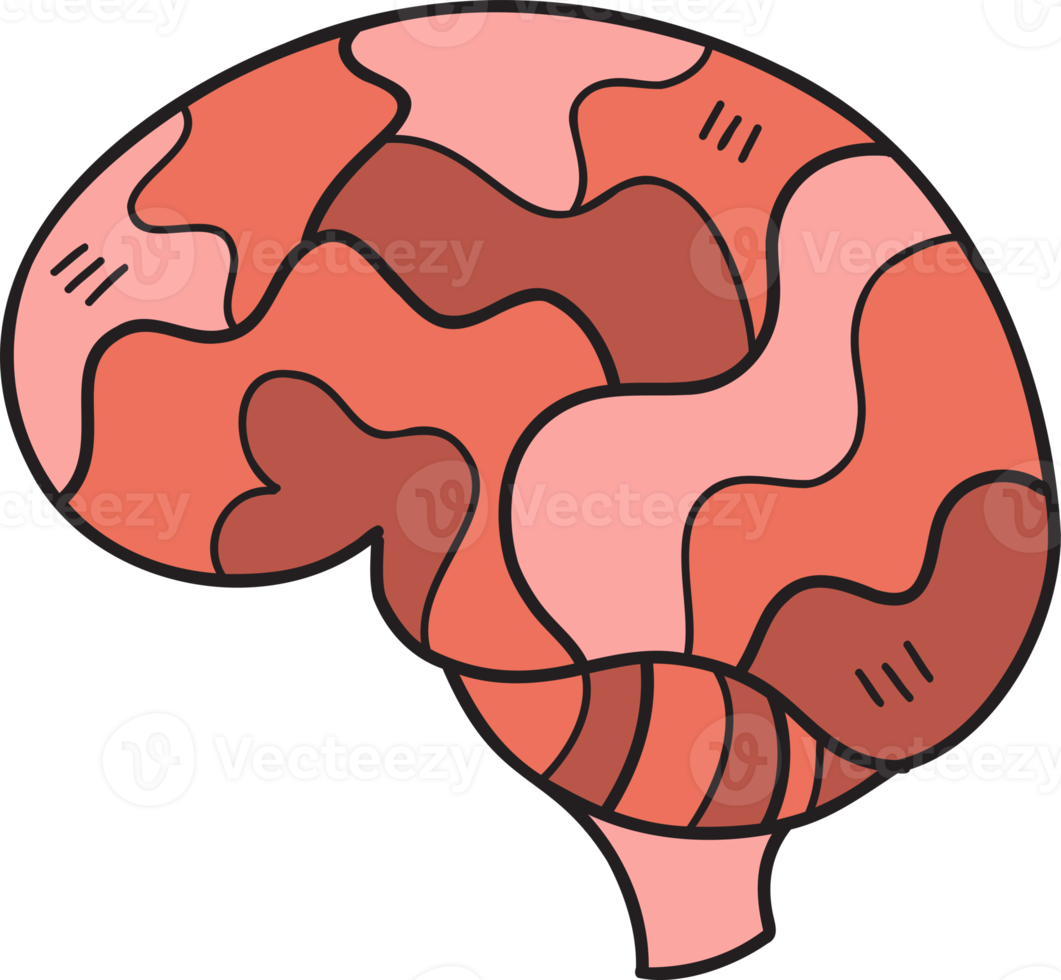 dibujado a mano ilustración de cerebro png