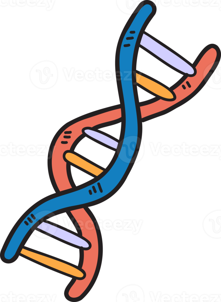 genes dibujados a mano e ilustración de adn png