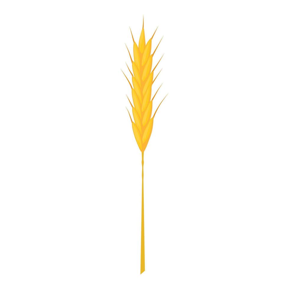 Wheat stalk icon, cartoon style vector