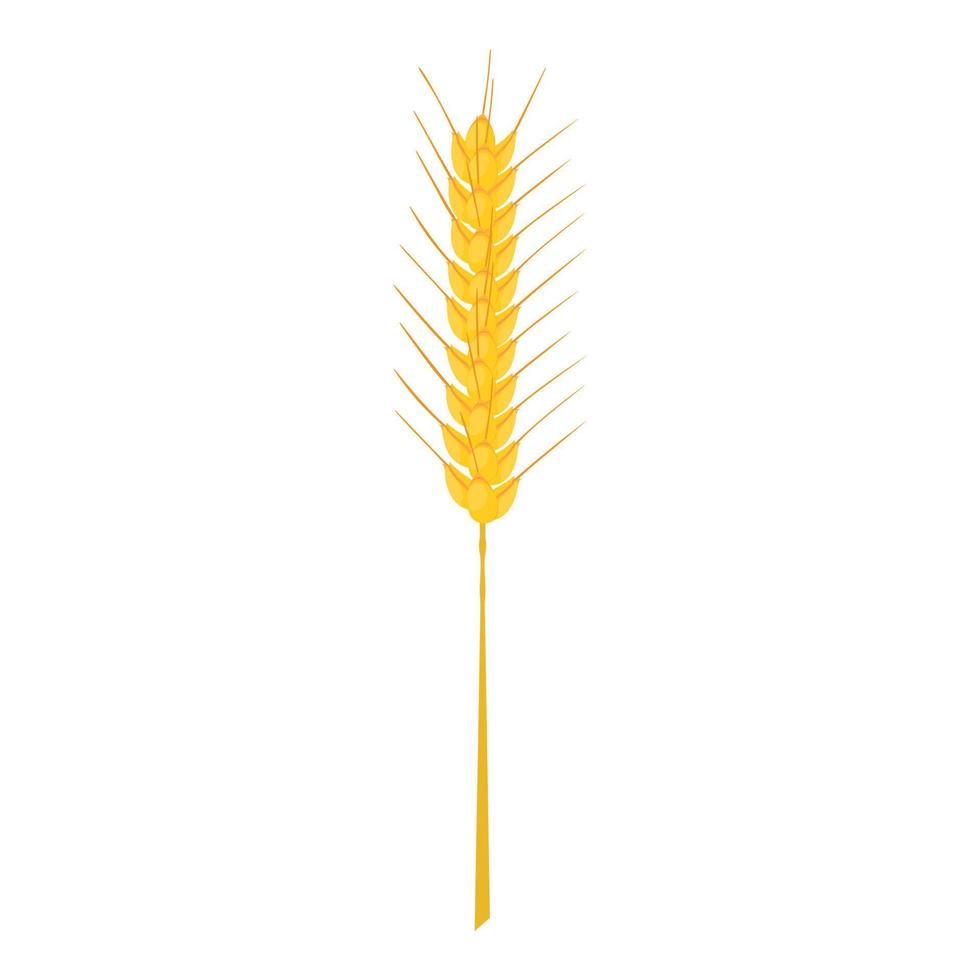Barley stalk icon, cartoon style vector