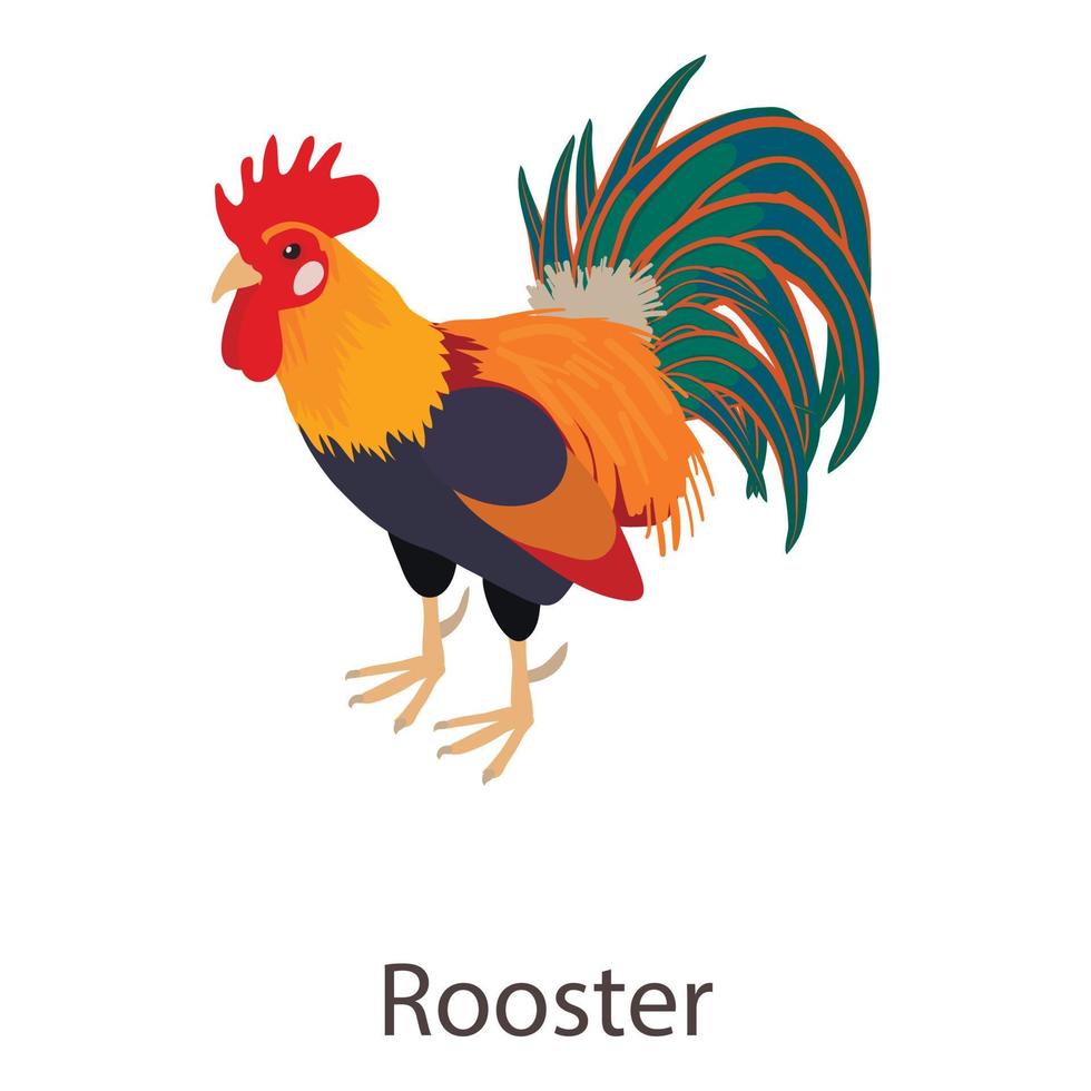 Rooster icon, isometric style vector