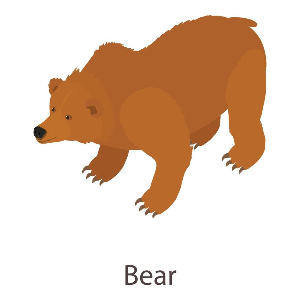 icono de oso, estilo isométrico vector