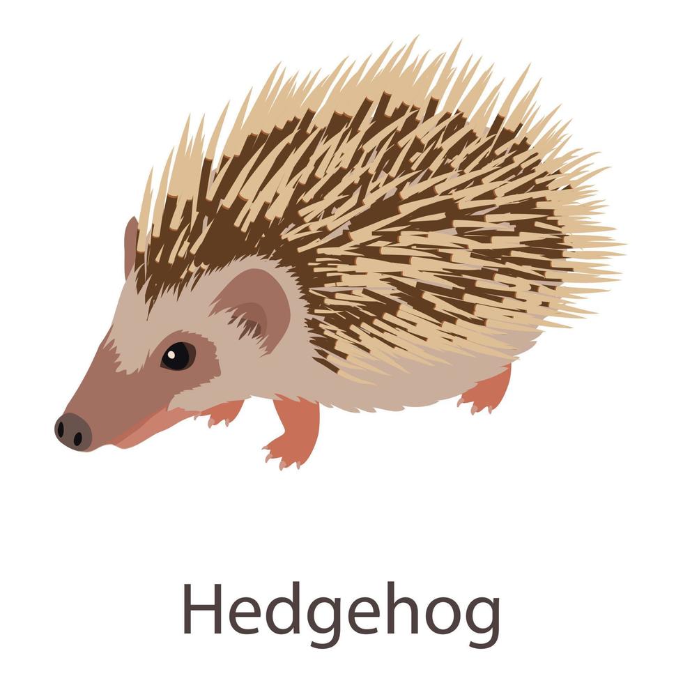 Hedgehog icon, isometric style vector