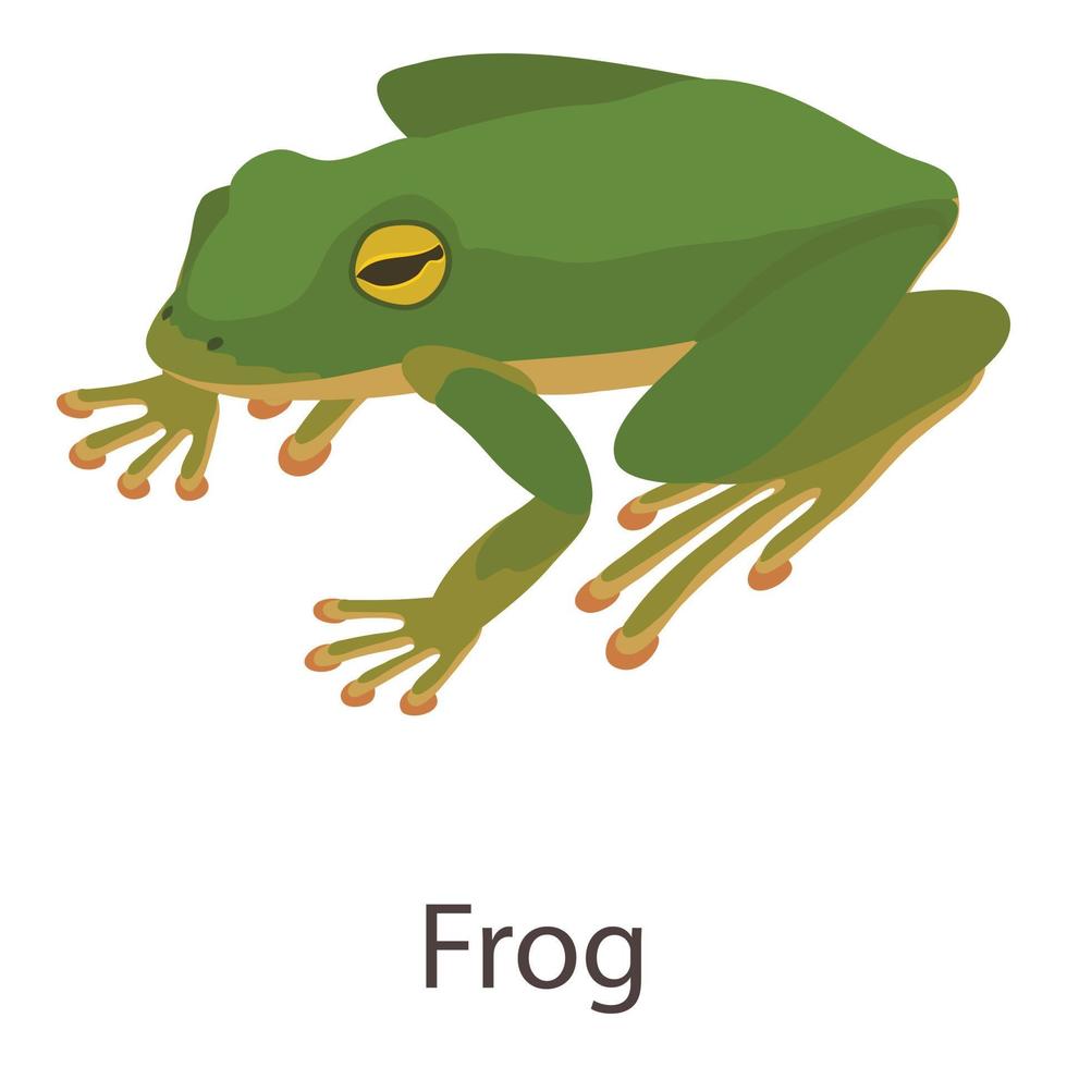 Frog icon, isometric style vector