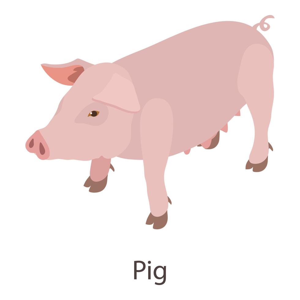 Pig icon, isometric style vector