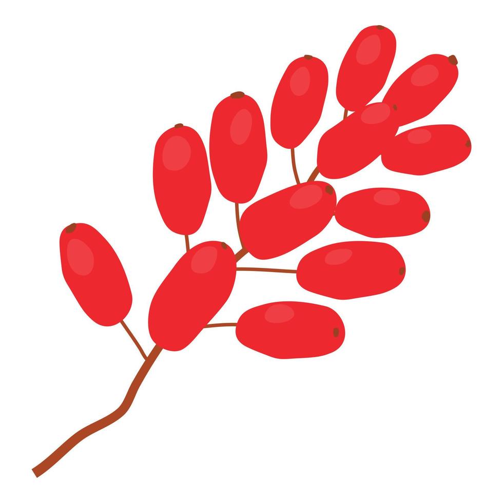 Sumac icon, cartoon style vector