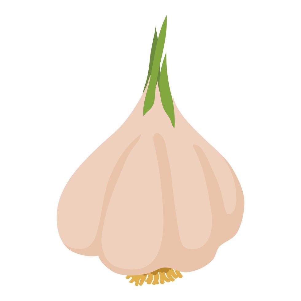 Garlic icon, cartoon style vector