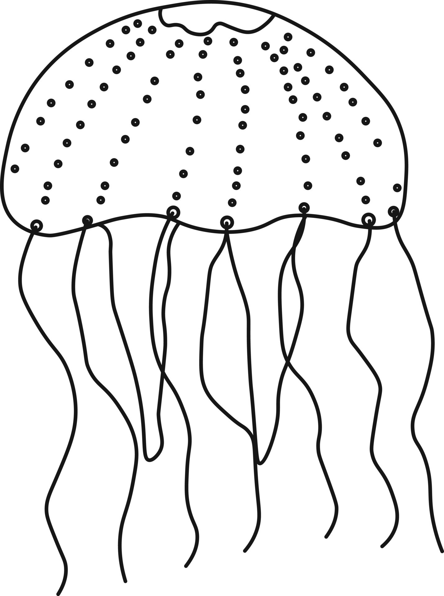 fish icon. aquatic animals with various fins, scales, tail and gills