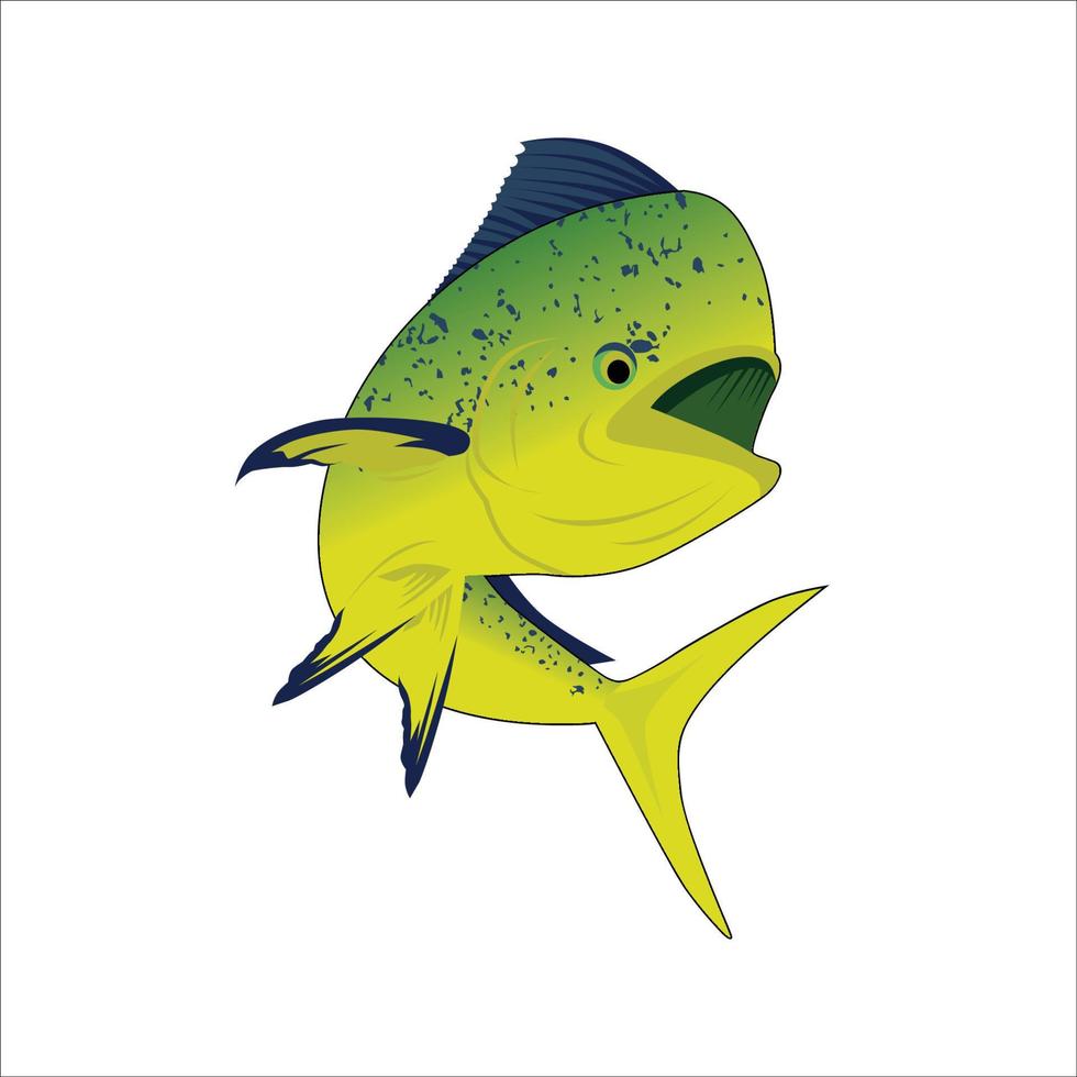ilustración vectorial del pez mahi mahi, utilizado para la empresa de logotipos de pesca vector