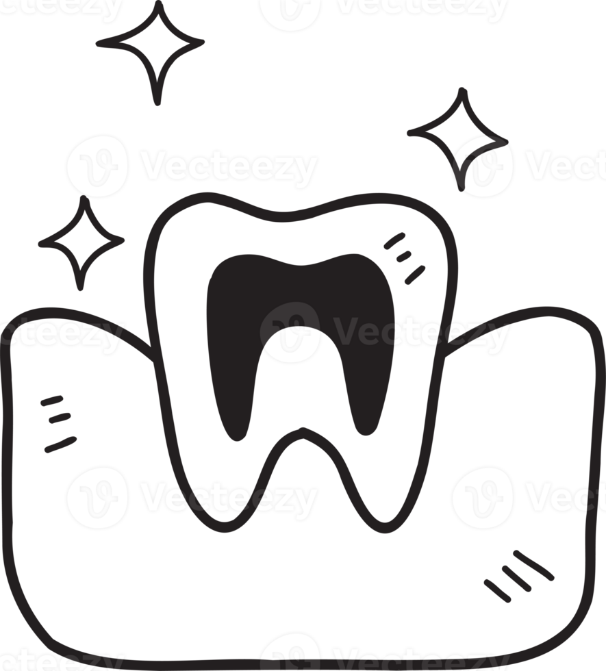 Hand Drawn teeth and gums illustration png