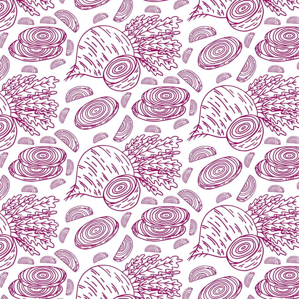 Pattern with beet full beetroot and piece of beet. Vector hand drawn illustration