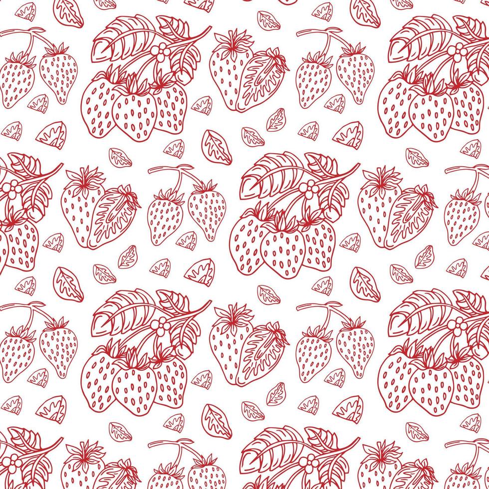 Line drawn doodle strawberries white background. Summer cute pattern. Good for packaging. vector