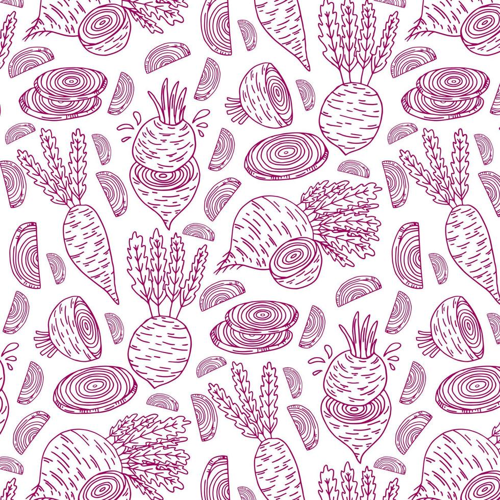 Pattern with beet full beetroot and piece of beet. Vector hand drawn illustration