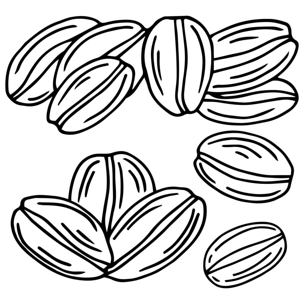 grano de café aislado vector dibujado a mano, boceto de granos de café