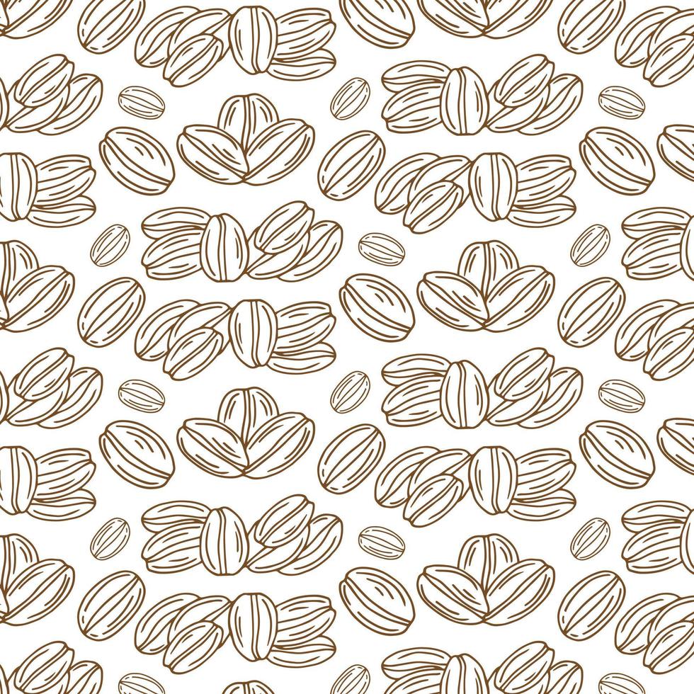 Coffee bean pattern including seamless on white background. sketch of coffee beans. Hand drawn coffee beans vector. vector