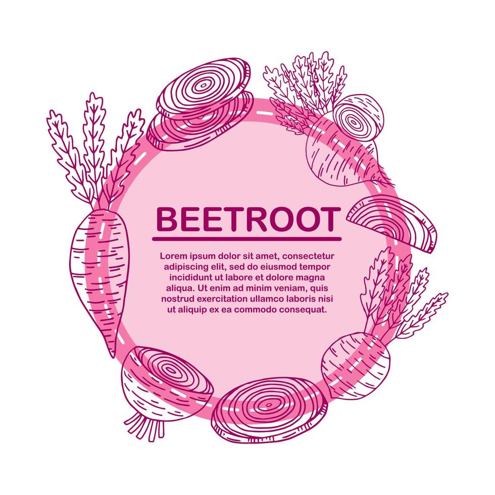 Round frame, bright purple ripe beetroot, root crop, copy space, vector illustration in cartoon style on a white background