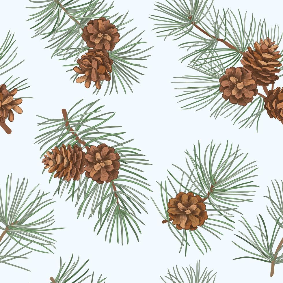 Set of evergreen branches, pine tree, fir, spruce coniferous plants.  Illustration of christmas floral decorations isolated on white background.  Retro drawing style 15285084 Vector Art at Vecteezy