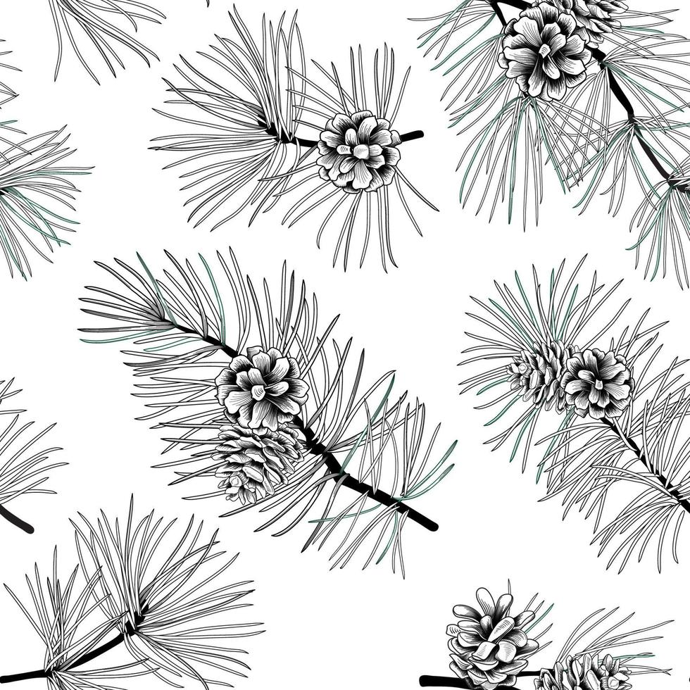 Winter forest seamless pattern with pine branches and cones. Evergreen floral christmas vector illustration. Engraving hand-drawn nature background.